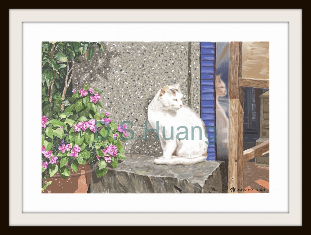 THE CAT IN PINSI       P-13(2010) 1