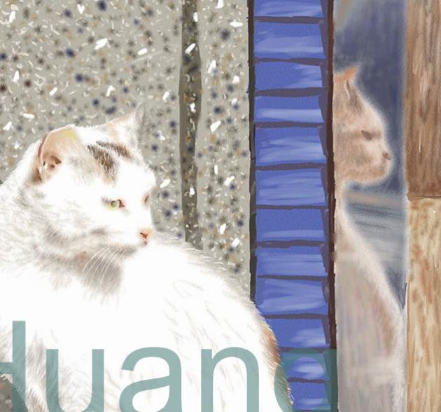 THE CAT IN PINSI       P-13(2010) 2