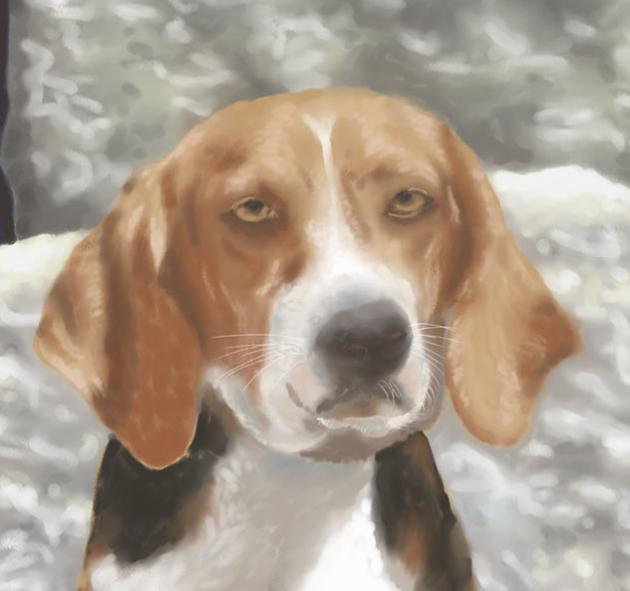 MOTHER & HER PUPPY    P-24(2010) 2