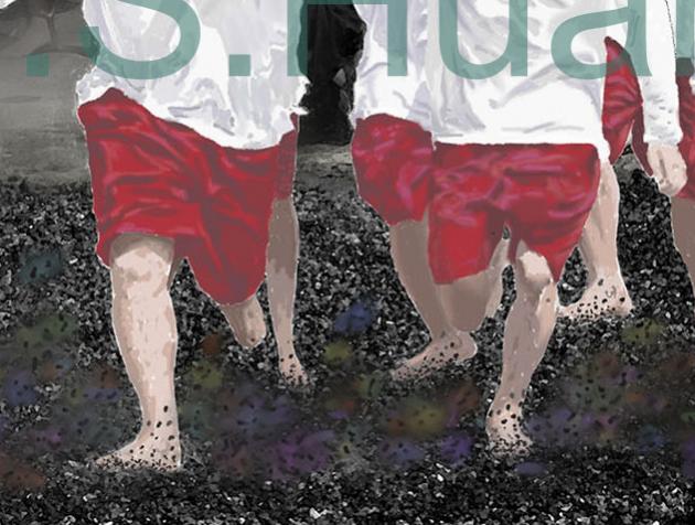 THE PALANQUIN CROSSING OVER FIRE    P-53(2011) 3