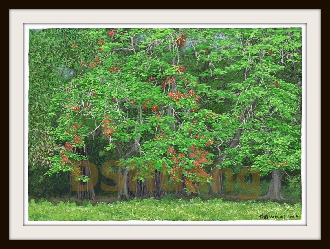 THE PHEONIX FLOWER IN FULL BLOOM  P-103(2011) 1