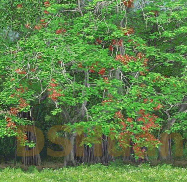 THE PHEONIX FLOWER IN FULL BLOOM  P-103(2011) 2