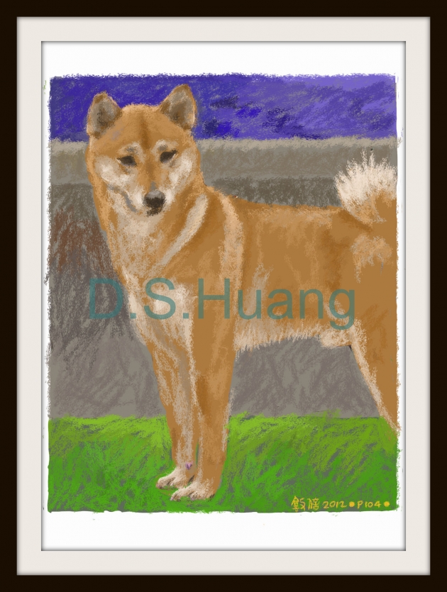 CANDY-3    P-104(2012) 1