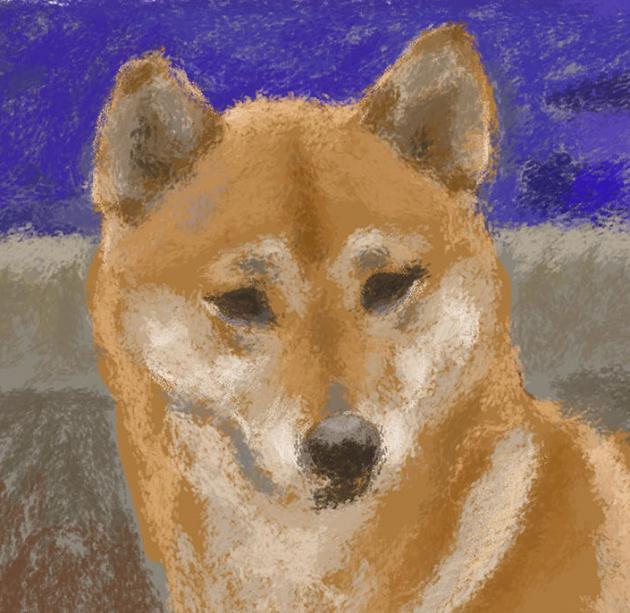 CANDY-3    P-104(2012) 2