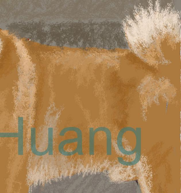 CANDY-3    P-104(2012) 3