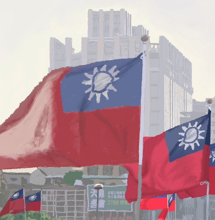 FLAGS IN THE WIND    P-118(2013) 3