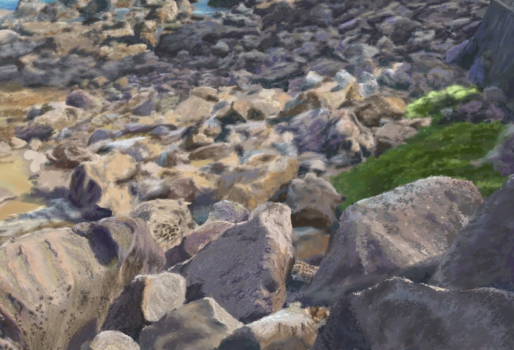 CHALESUI   P-135(2013) 3