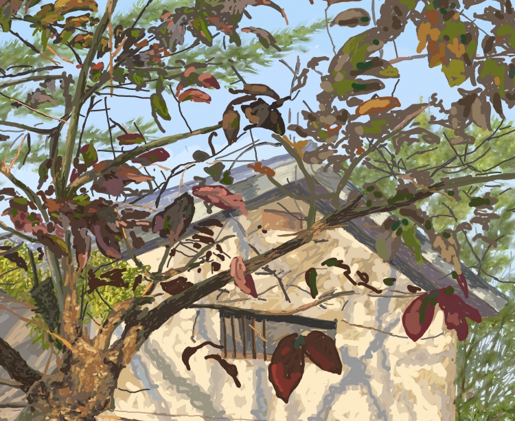 FARMHOUSE   P-146(2014) 3