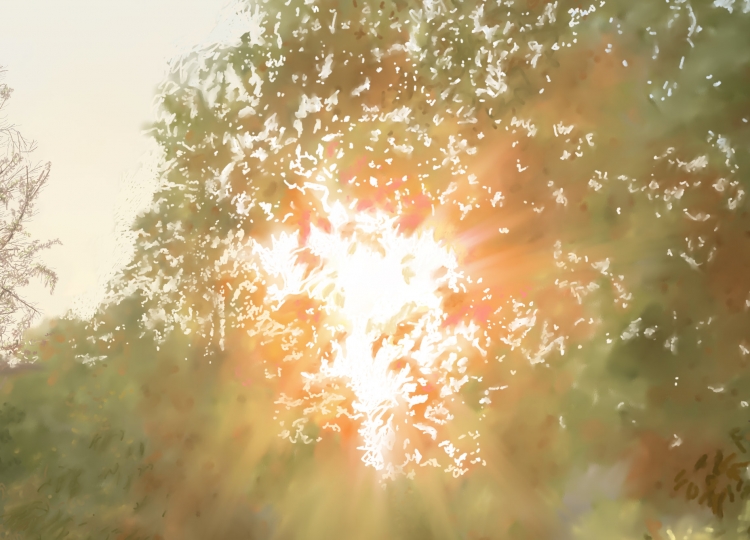 THE SUNSET-3   P-155(2014) 3