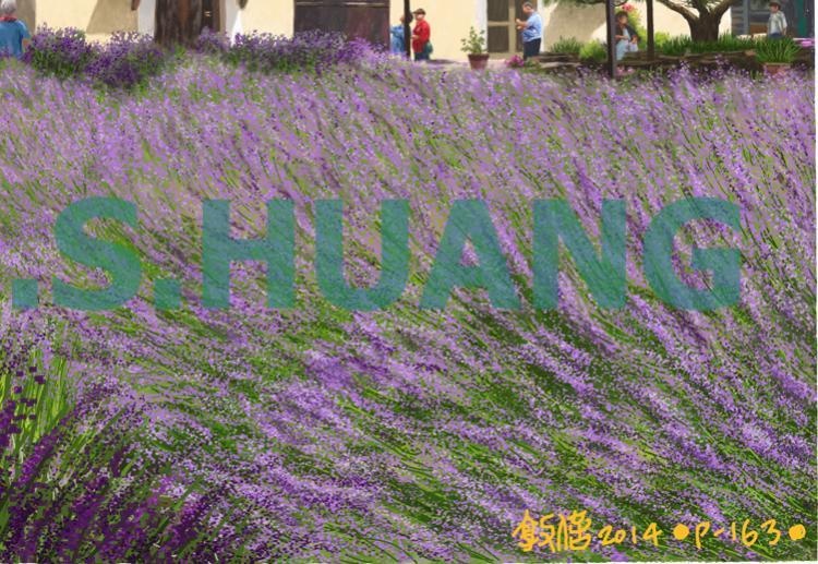 THE LAVENDER IN SOUTHERN FRANCE    P-163(2014) 5