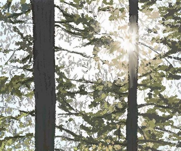 THE CENTRAL PARK OF VANCOUVER    P-201(2016) 4