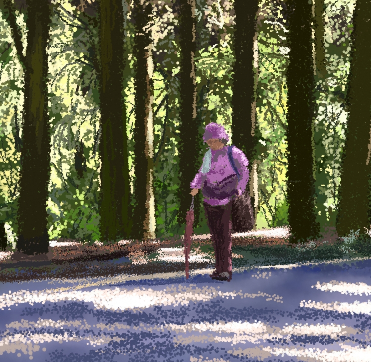 SITOU HIKING-1   P-205(2016) 3