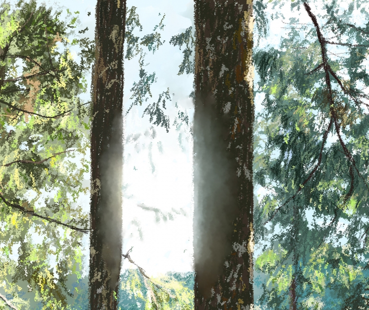 SITOU HIKING-2   P-206(2016) 3