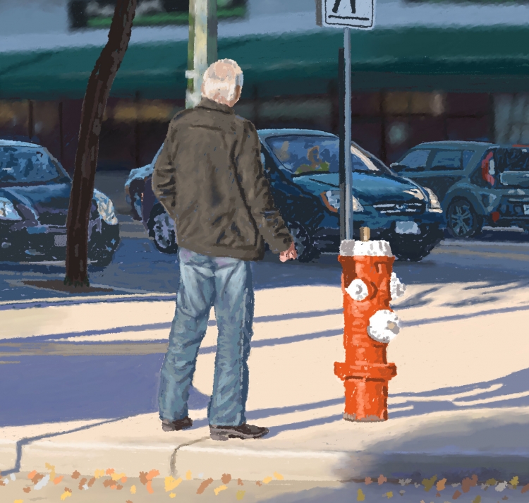 WINTER IN VANCOUVER   P-209(2016) 3