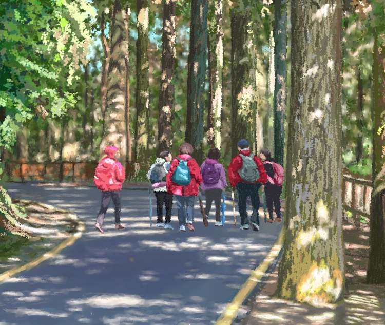 SITOU HIKING-3     P-210(2015) 2