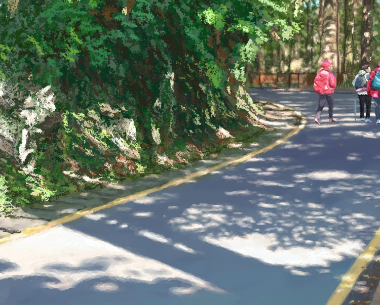 SITOU HIKING-3     P-210(2015) 4