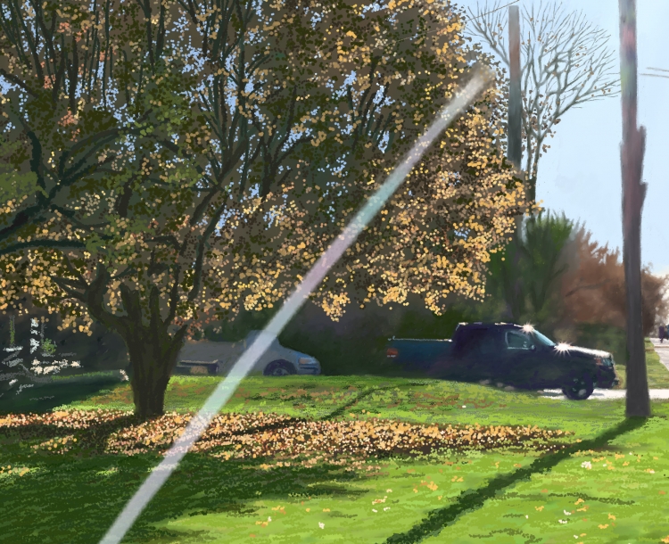 WALKING THE DOG-2    P-211(2016) 2