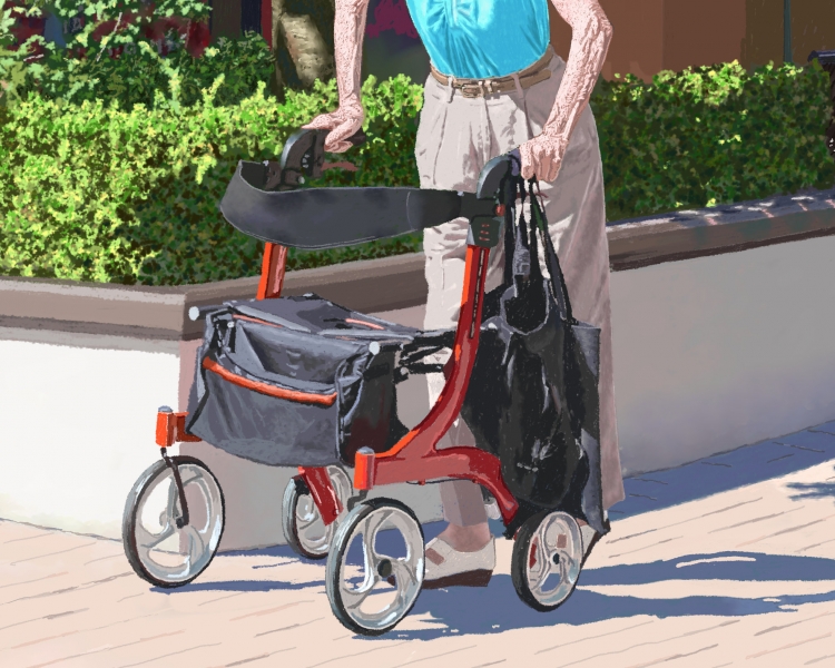 A SEINOR IN VANCOUVER     P-223(2016) 5