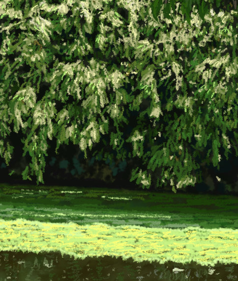 BIRD WATCHING   P-225(2016) 4