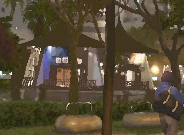 THE TAICHUNG PARK-3  台中公園夜景   P-260  (2017) 2