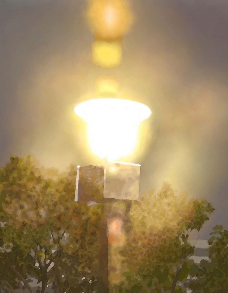 THE TAICHUNG PARK-3  台中公園夜景   P-260  (2017) 3