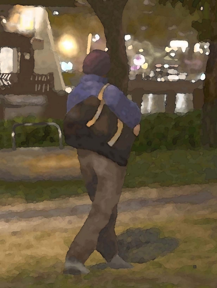 THE TAICHUNG PARK-3  台中公園夜景   P-260  (2017) 4