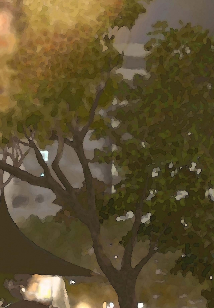 THE TAICHUNG PARK-3  台中公園夜景   P-260  (2017) 5