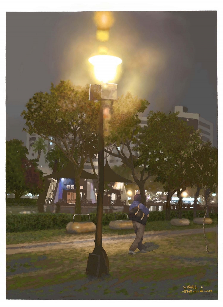 THE TAICHUNG PARK-3  台中公園夜景   P-260  (2017) 1