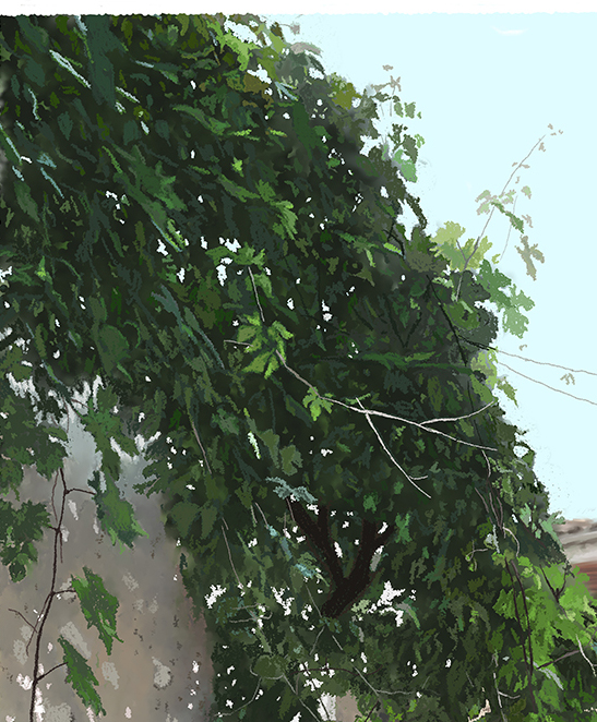 SUN AND THE SHADOW (陽光與陰影) 2