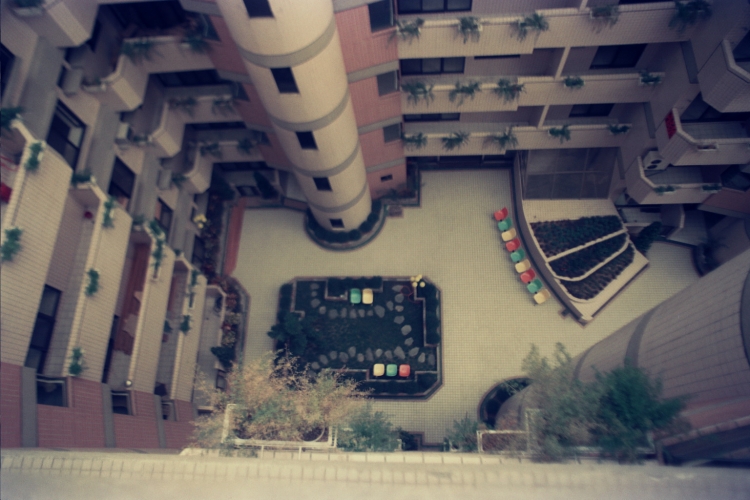 HARVARD GARDEN    A-29(1988) 2