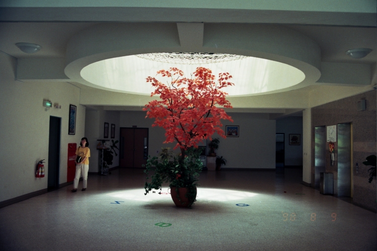 TAICHUNG COUNTY CHILDREN WELFARE SERVICE CENTER     A-61(1994) 4