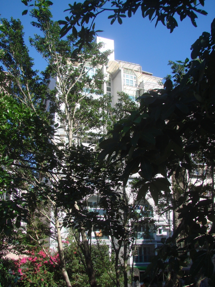 YU-FENG CONSTRUCTION CO.-----IVY LIVING    A-40(1991) 4