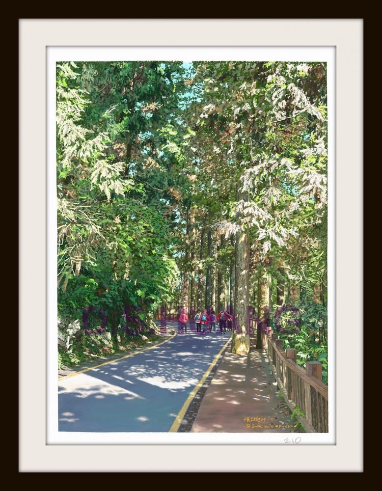 SITOU HIKING-3     P-210(2015) 1