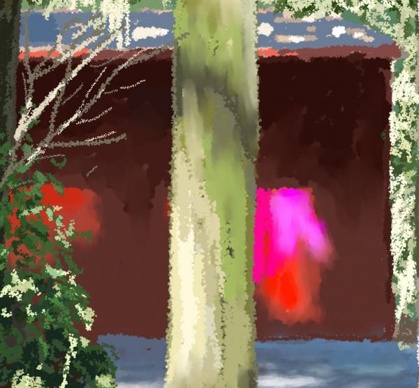 HOUSE IN THE TREES    P-207(2016)