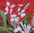 WILD TURMERIC    M-31(2002) 2